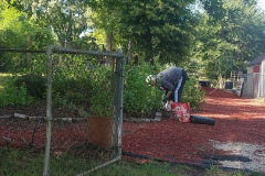 Creation-Care-garden-pic1