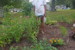 Creation-Care-garden-pic5